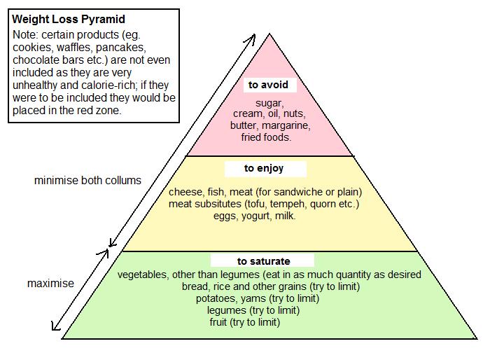 Chocolate milk reduces belly fat picture 1