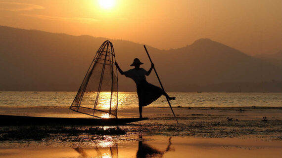 The Fisherman and the Businessman