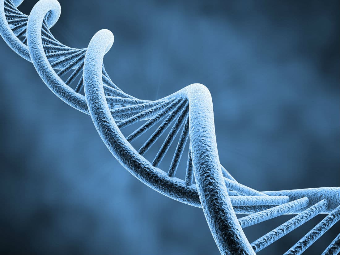 Researchers Finally Show How Mindfulness and Your Thoughts Can Induce Specific Molecular Changes To Your Genes