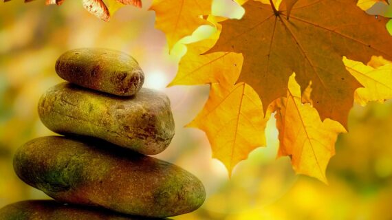 Steps To Stay Calm When Life Isn’t