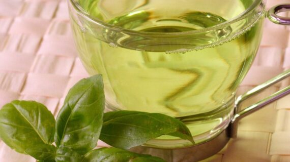 The Miraculous Benefits of Green Tea