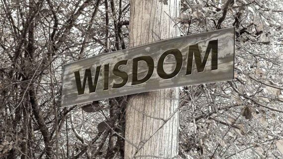 A Taste of Wisdom