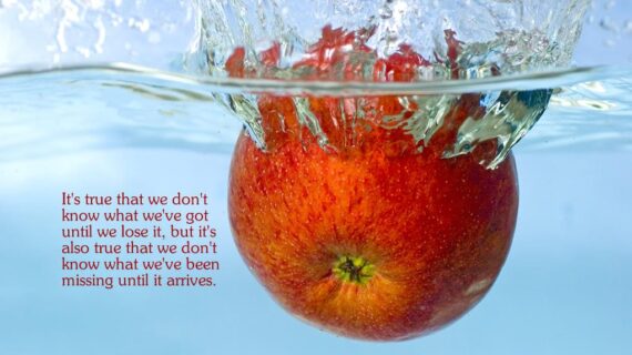 It’s true that we don’t know what we’ve got until we lose it