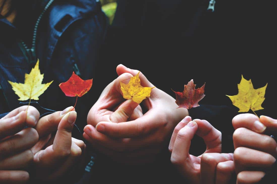 The Truth about Happiness: Happiness is a Direction, not a Place