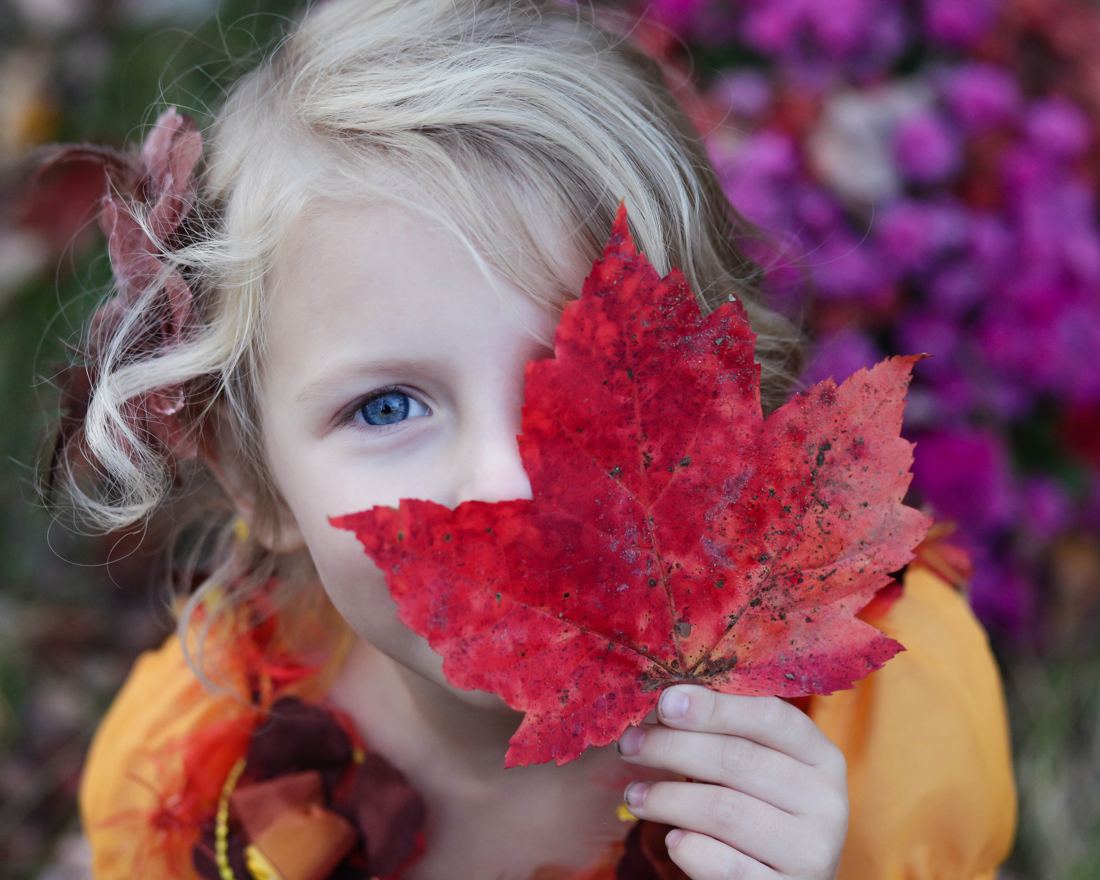 Autumn Quotes: 21 Inspirational Quotes about  Fall Season