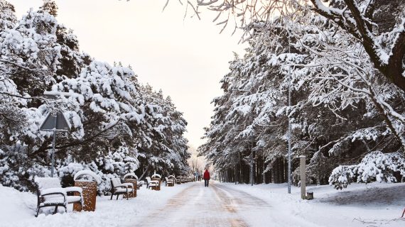 Mindful Living: Step Into the New Year with Gratitude