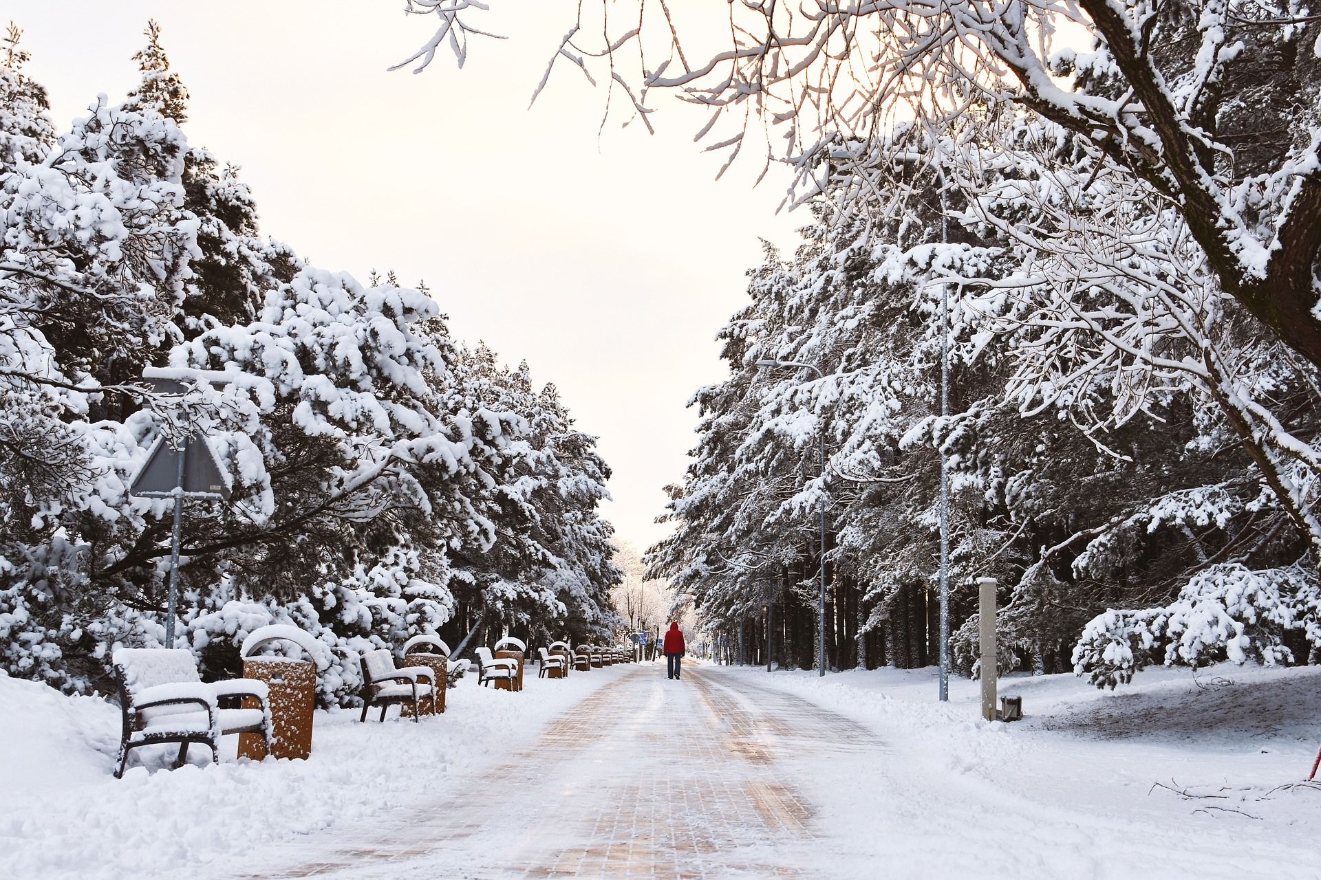 Mindful Living: Step Into the New Year with Gratitude